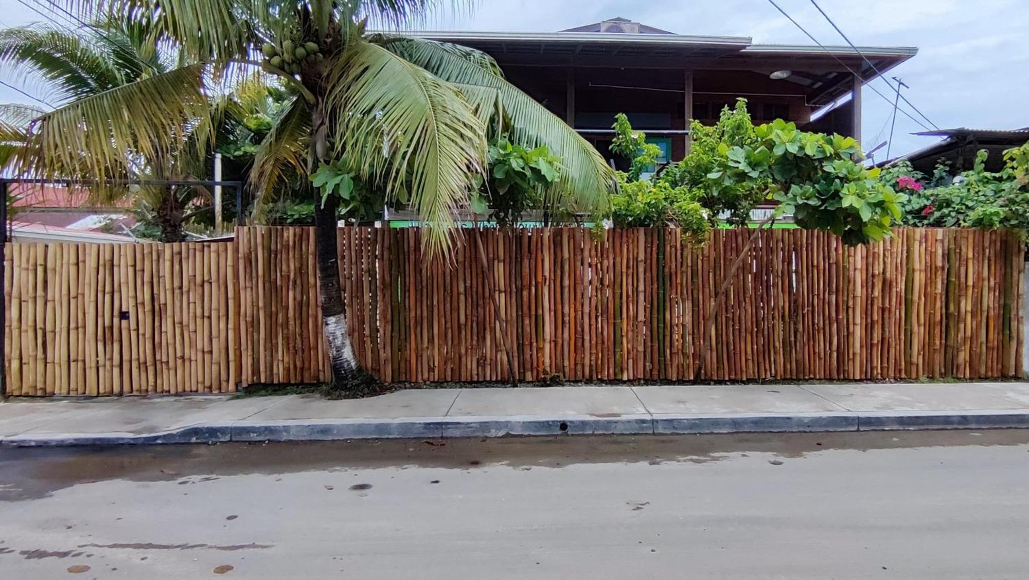 Bambu Lounge Bocas Hostel Bocas Town Exterior foto